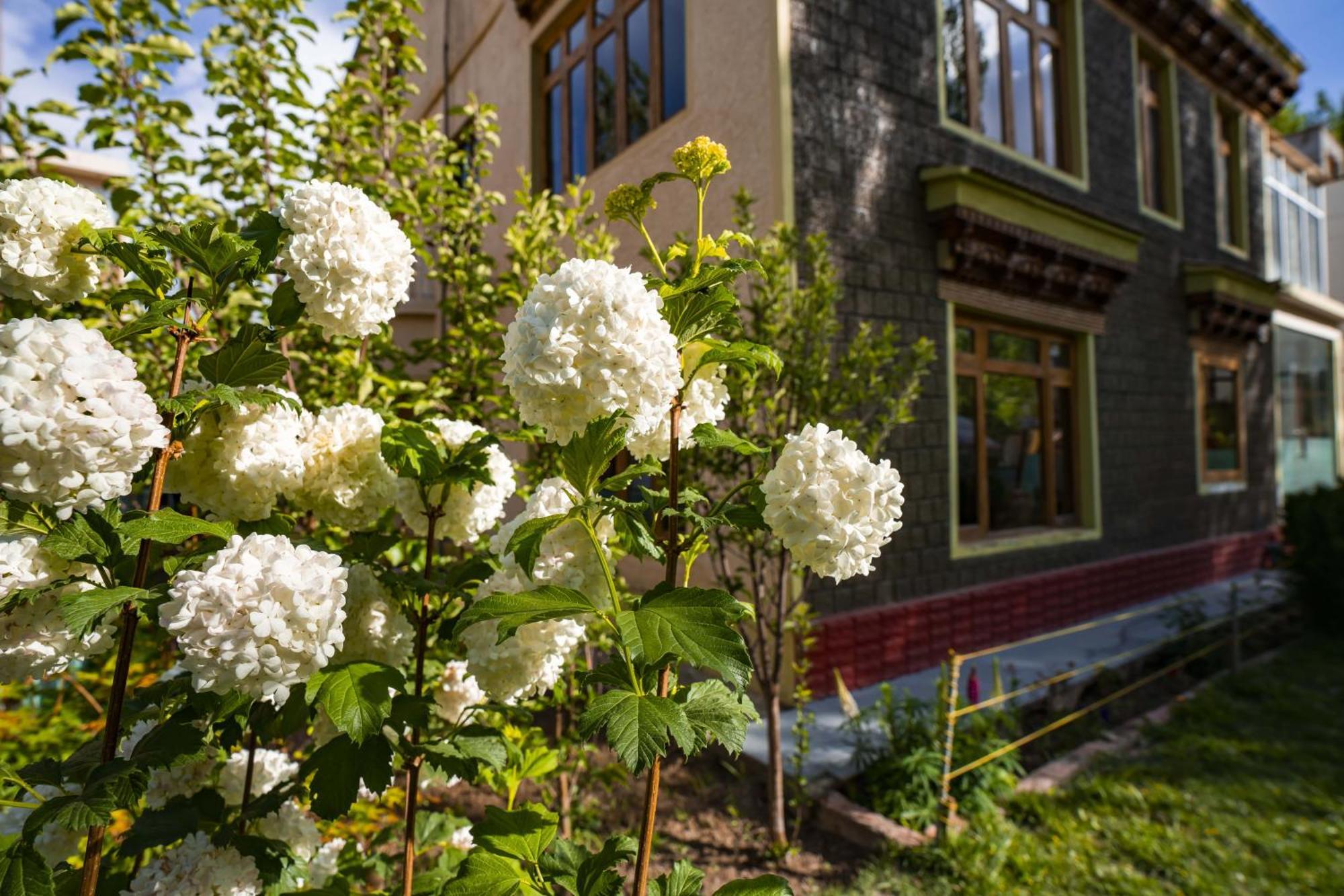 Rainbow Holiday Home Leh Exterior foto